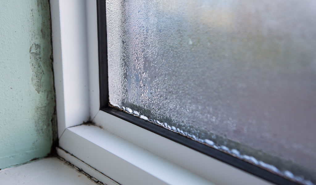 Window close up showing signs of damp