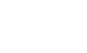 Timeless Logo